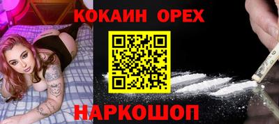 дмт Гай