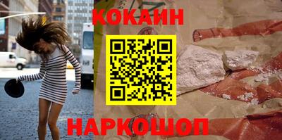 дмт Гай