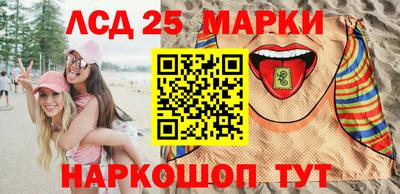 дмт Гай