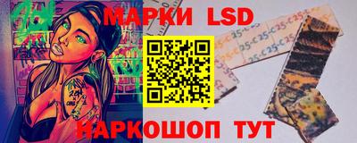 дмт Гай