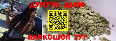 гашик Гатчина
