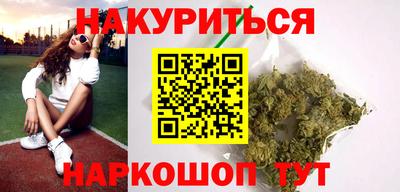 гашик Гатчина