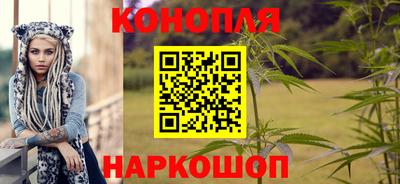 гашик Гатчина