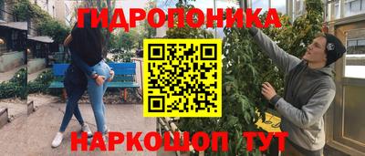 гашик Гатчина