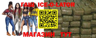гашик Гатчина