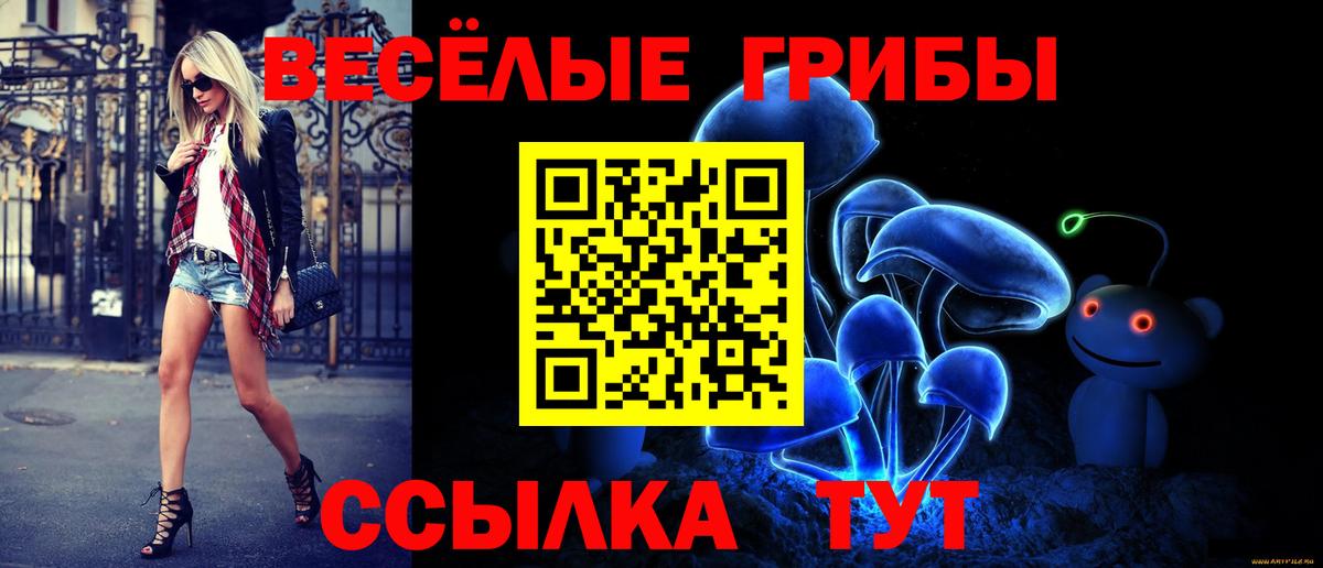 Галлюциногенные грибы Psilocybine cubensis Джанкой